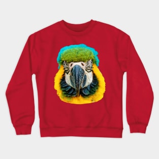 Blue and Yellow Macaw Crewneck Sweatshirt